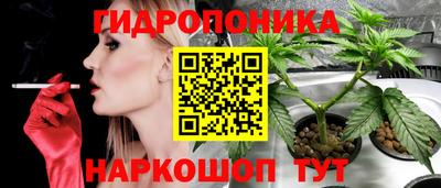 стафф Краснодар