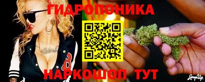 молекула духа Краснознаменск