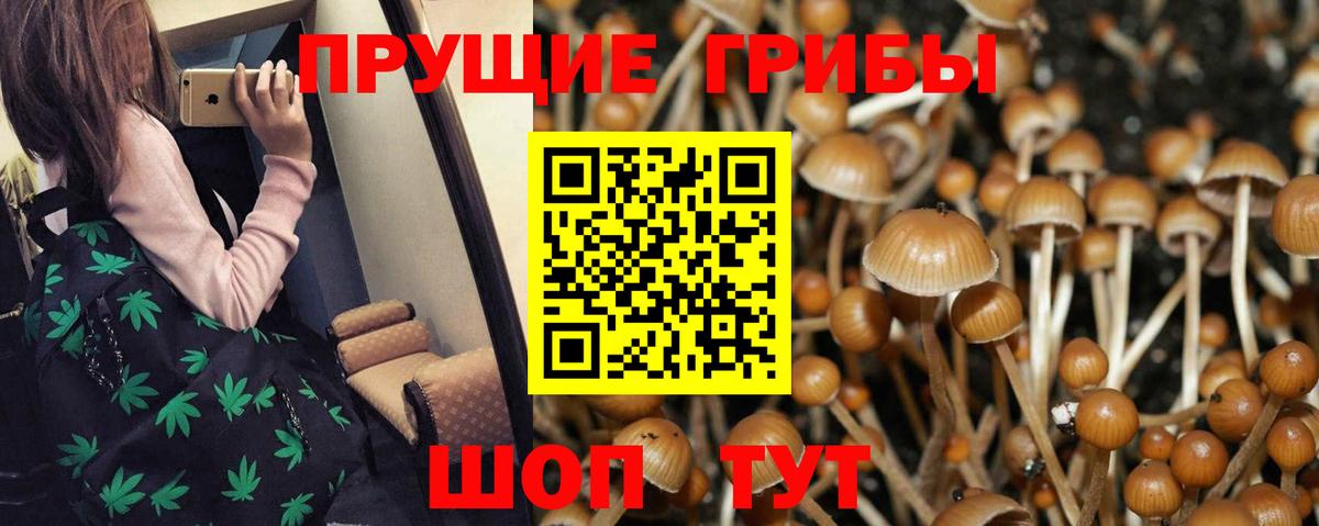 Кимовск  купить  цена  Галлюциногенные грибы прущие грибы  Вход с VPN  Галлюциногенные грибы GOLDEN TEACHER 